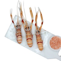 新西兰南极深海小龙虾鳌虾Scampi (Connors Catch白盒) 最新日期 1kg/盒 2号:约11-15只/盒/kg,约25-27cm/只 新西兰南极深海小龙虾鳌虾Scampi (Connors Catch白盒) 最新日期 1kg/盒 2号:约11-15只/盒/kg,约25-27cm/只