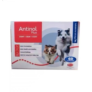 Antinol 安适得 宠物犬狗关节软骨素毛发皮肤 60粒 2盒包邮