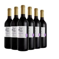 JACARANDA 蓝花楹西拉子乾紅14度 红酒 750ml*6 (国内现货)