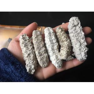 海参 刺皇 约30-40头（澳洲）