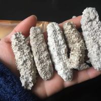 海参 刺皇 约30-40头(澳洲) 海参 刺皇 约30-40头(澳洲)