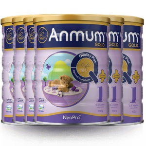 ANMUM 安满 金装 婴儿奶粉1段  6罐包邮