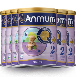  ANMUM 安满 金装 婴儿奶粉2段 6罐包邮