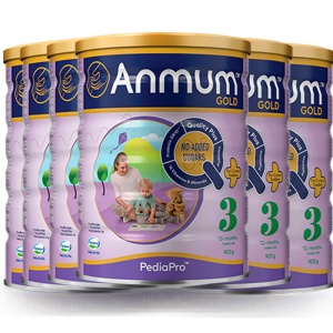  ANMUM 安满 金装 婴儿奶粉3段 6罐包邮