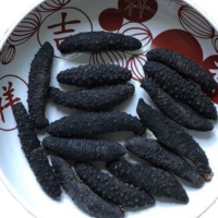 海参小黑刺 约30-40个每包 (澳洲)现货 海参小黑刺 约30-40个每包 (澳洲)现货